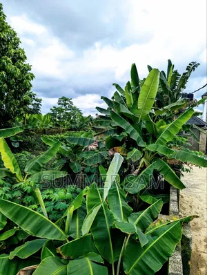 Massive 3000sqm Land for Sale in Uyo