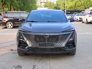 Changan UNI-T 2021 Gray
