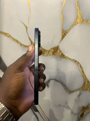 Apple iPhone 15 Pro Max 256 GB Black
