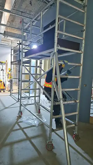 Scaffold Ladder for Easy Work