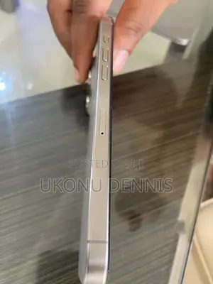 Apple iPhone 15 Pro Max 256 GB Gray