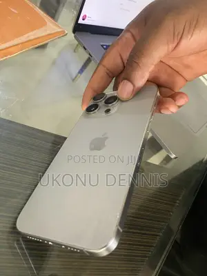 Apple iPhone 15 Pro Max 256 GB Gray