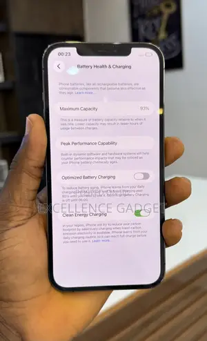 Apple iPhone 12 Pro Max 256 GB Gray