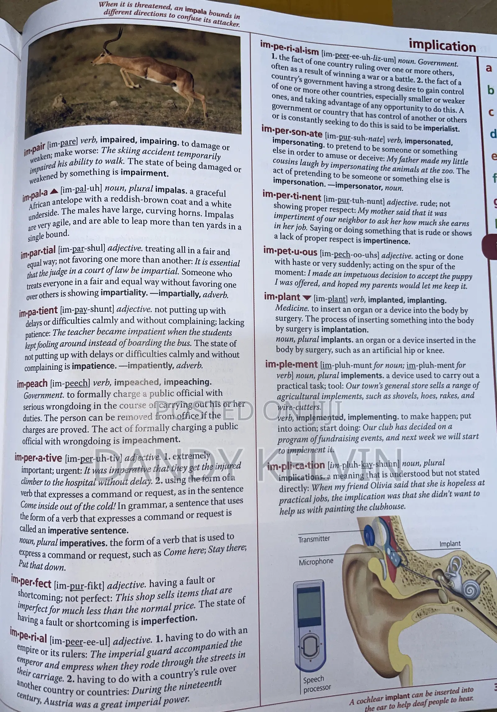 Macmillan Children Dictionary