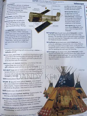 Macmillan Children Dictionary