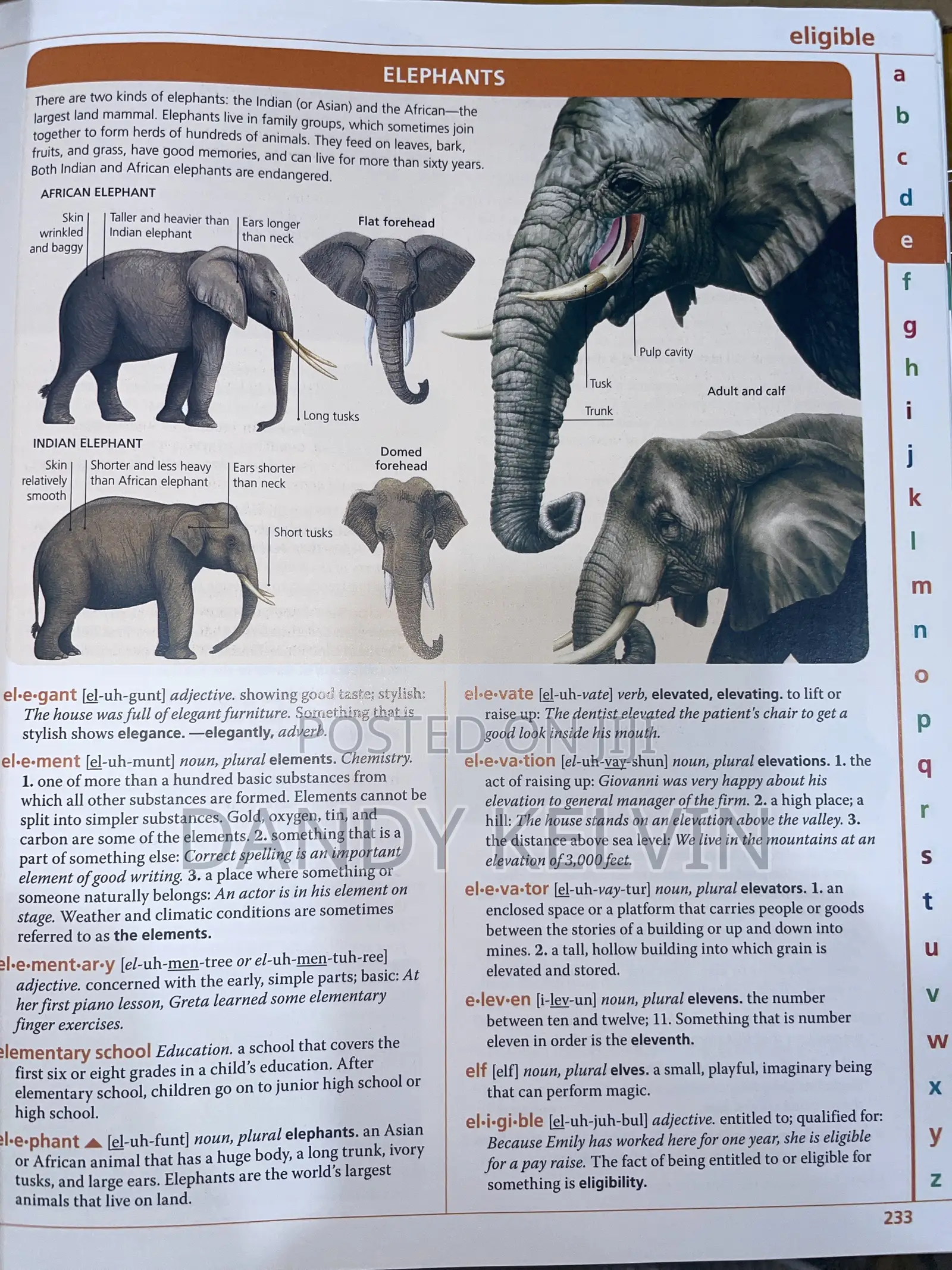 Macmillan Children Dictionary