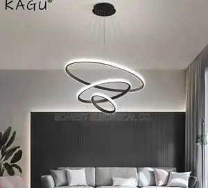 Spiral Ring Pendant Light