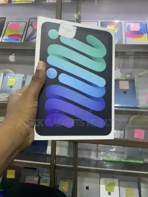 New Apple iPad mini 7 256 GB Gray