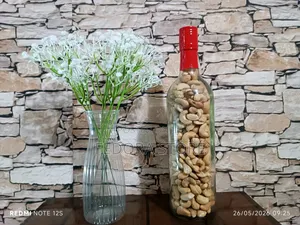 Cripsy Cashew Nuts