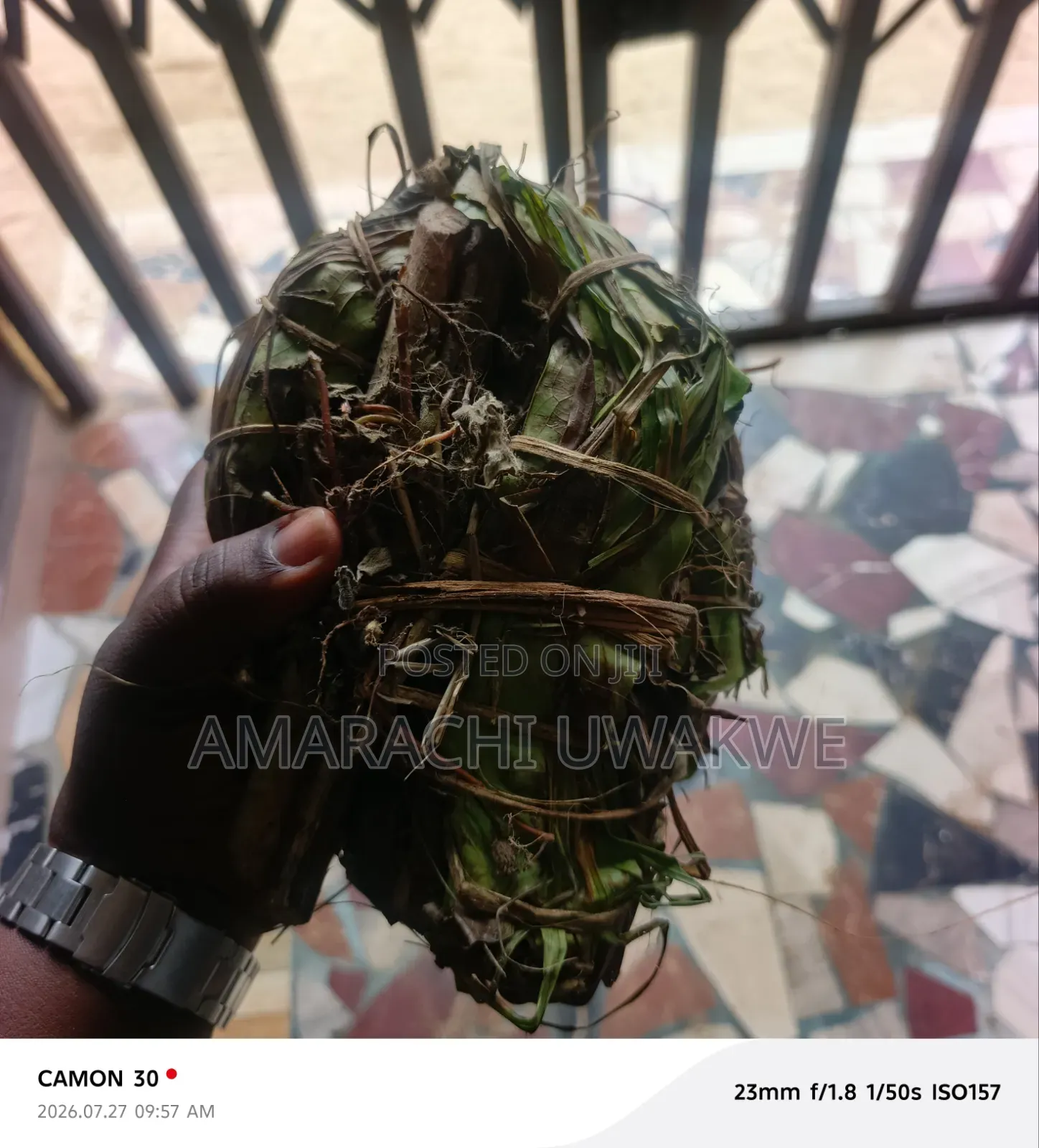 Ajumbasie Herb Leaves