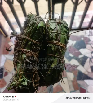Ajumbasie Herb Leaves