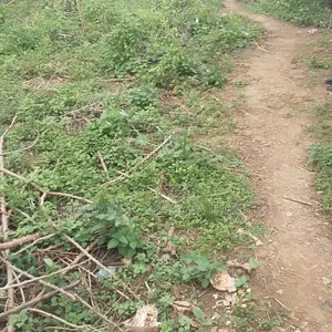 Land Available for Sale at Ikate