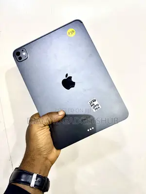 Apple iPad Pro 11 (2024) 256 GB Gray