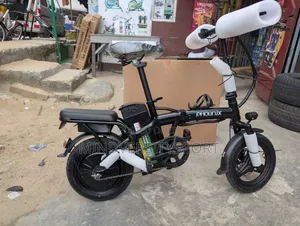 Electric Bike