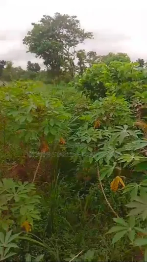 2 Plots of Table Land Is Available for Sale at Ishieke.