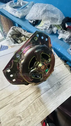 Washing Machine Motor