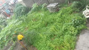 Solid Half Plot of Land for Sale in Ago