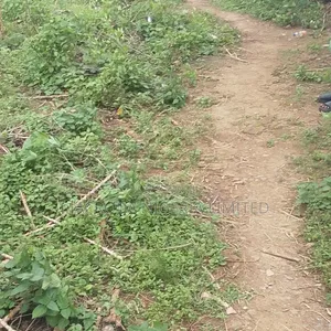 Well Located Land for Sale at Ikoyi