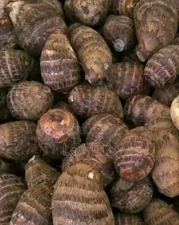 Farm Products