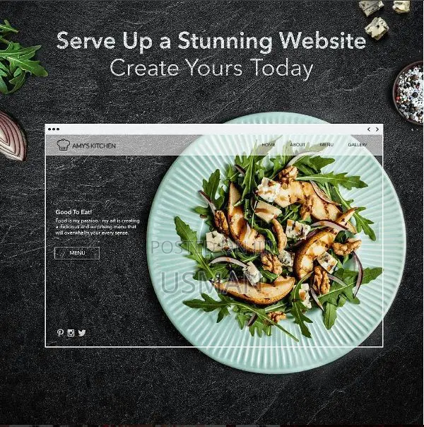 Professional Website Designers in Abuja