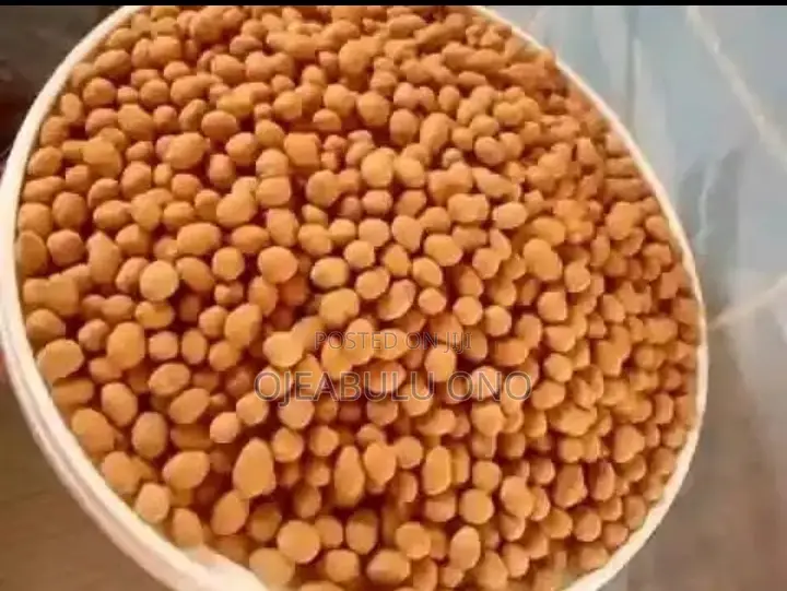 Milky Chin Chin and Peanut Available