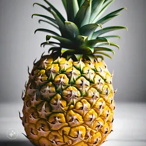 Pineapple Sucker