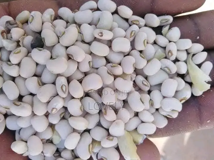 Farm Products