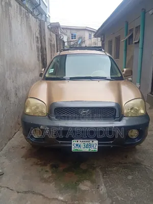 Hyundai Santa Fe 2005 Gold