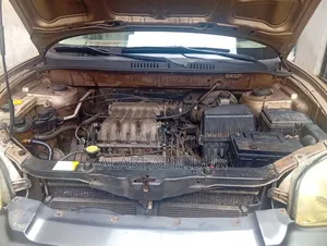 Hyundai Santa Fe 2005 Gold