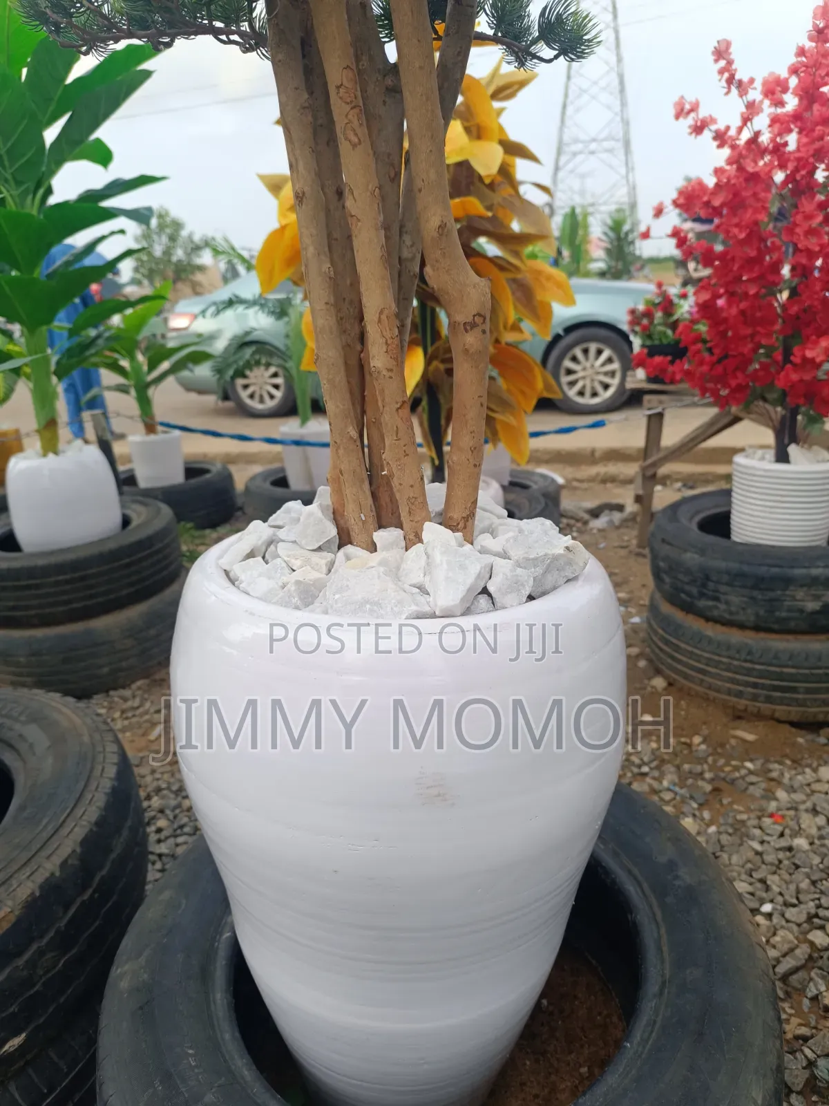 Artificial Bonsai Plant