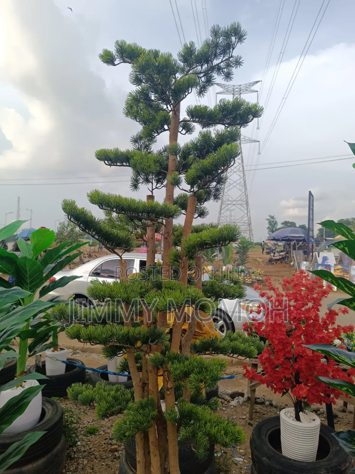 Artificial Bonsai Plant