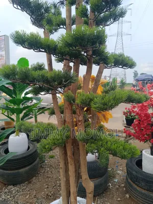 Artificial Bonsai Plant