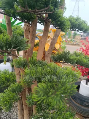 Artificial Bonsai Plant