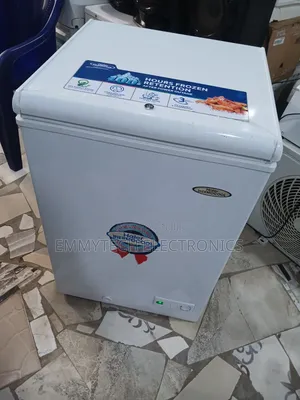 Thermocool Deep Freezer 100Ltrs