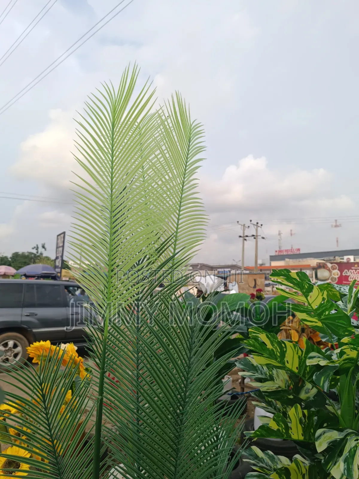 Artificial Water Palm Plant