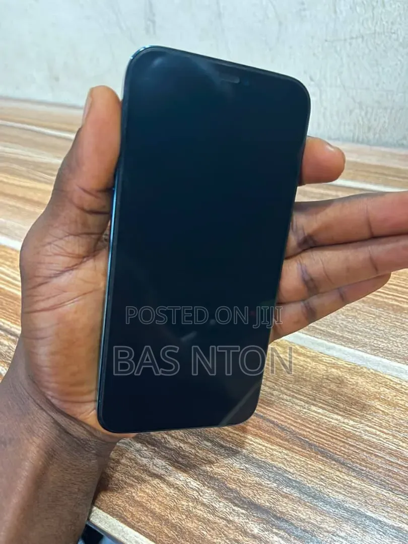 Apple iPhone 12 Pro Max 256 GB Gray