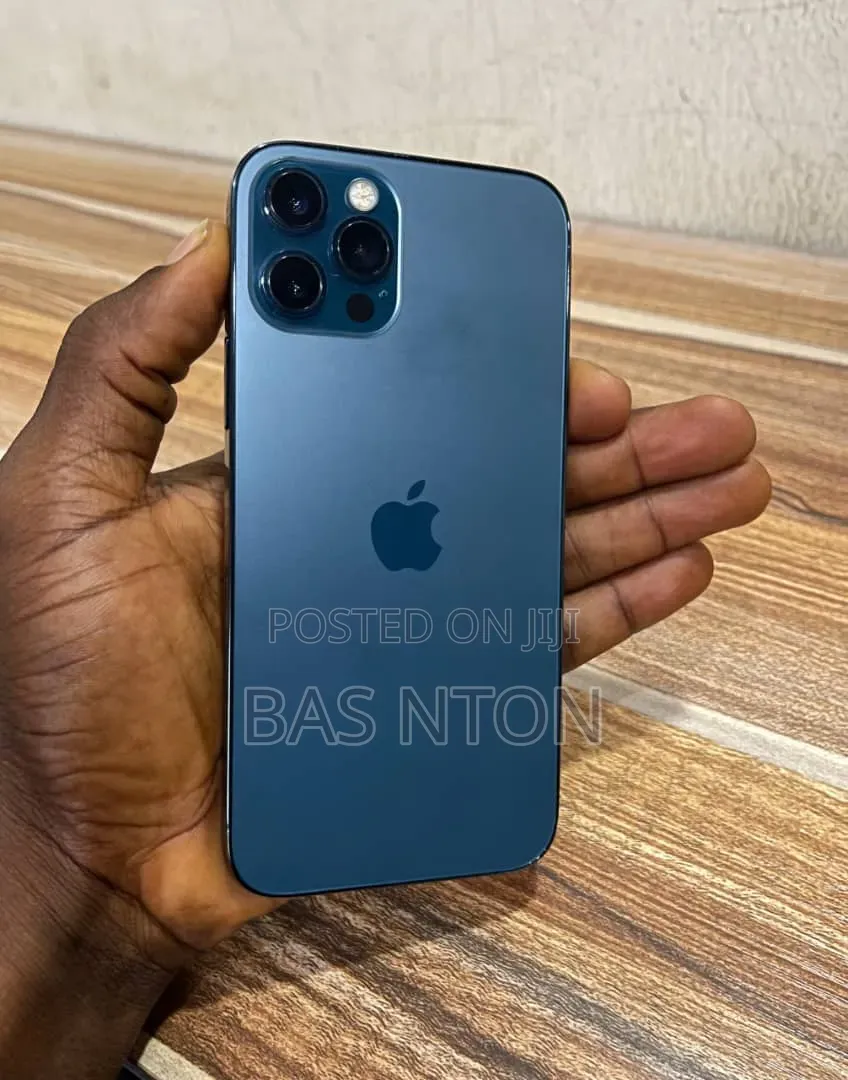 Apple iPhone 12 Pro Max 256 GB Gray