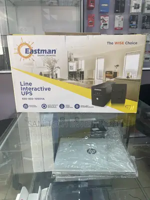 Eastman Line Interactive UPS