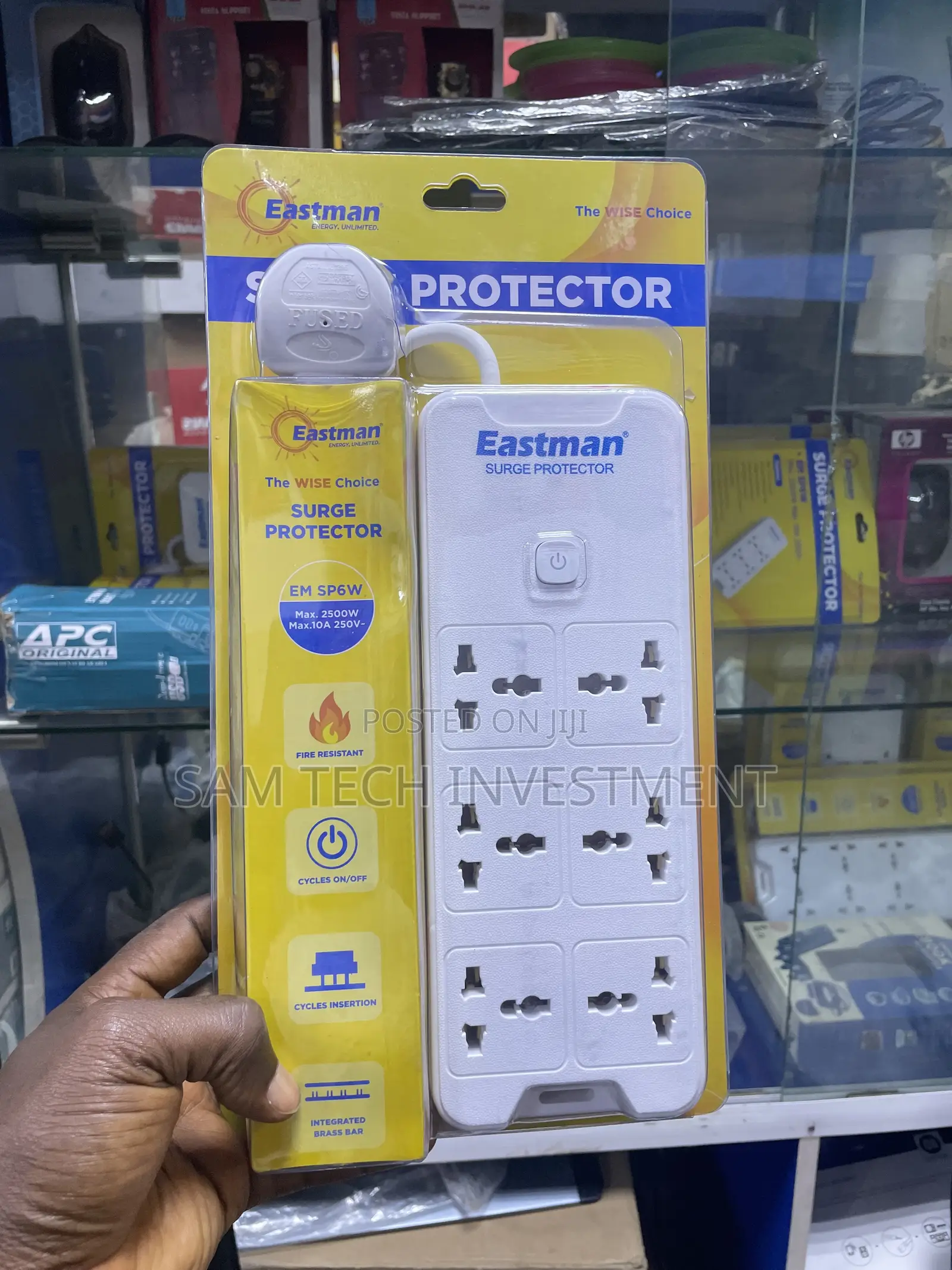 Eastman Surge Protector
