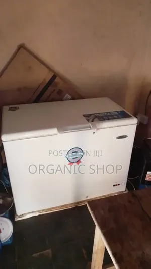 306L Thermocool Deep Freezer