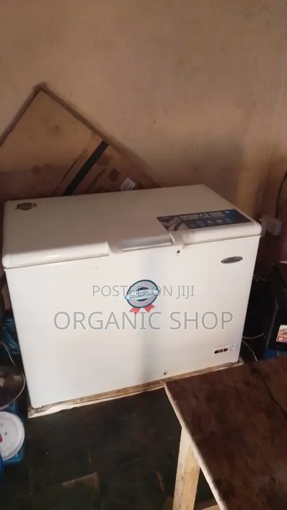 306L Thermocool Deep Freezer