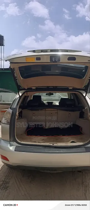 Lexus RX 2009 Gray
