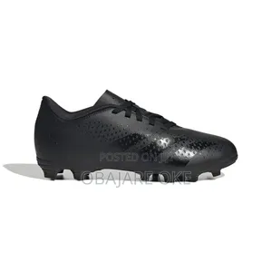 Adidas Predator Accuracy.4 Flexible Soccer Boot