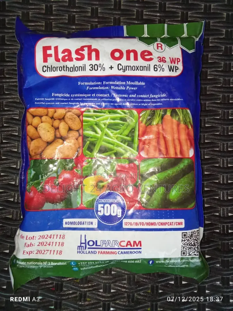 Flash One 36WP