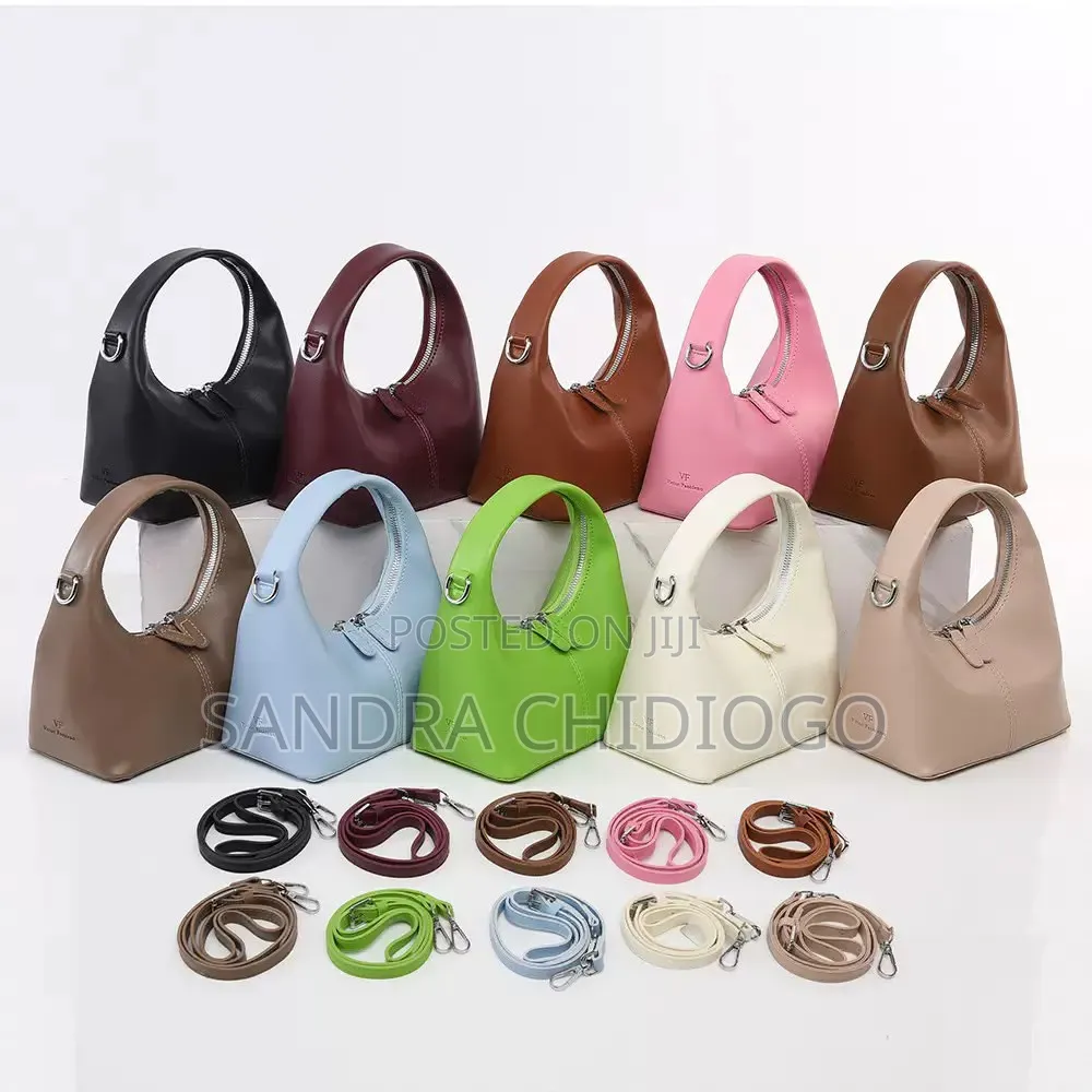 Luxury Hand Bag
