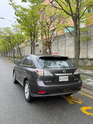 Lexus RX 2011 Gray