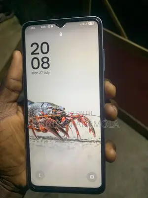 Samsung Galaxy A06 64 GB Gray