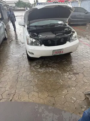 Lexus RX 2009 White