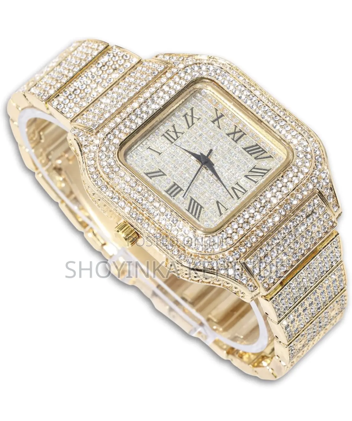 Men’s Diamond Encrusted Watch