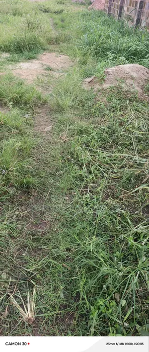 Half Plot of Land Measuring 30ft by 120ft